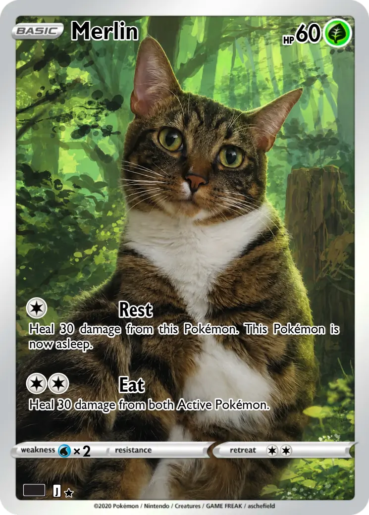 Merlin the cat as a custom Pokémon-style card